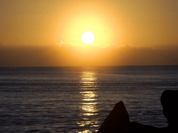 The-William-Web-Loop-FINAL-Low-for-web_1